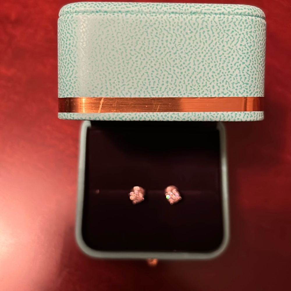 Longlove Moissanite Stud Earrings